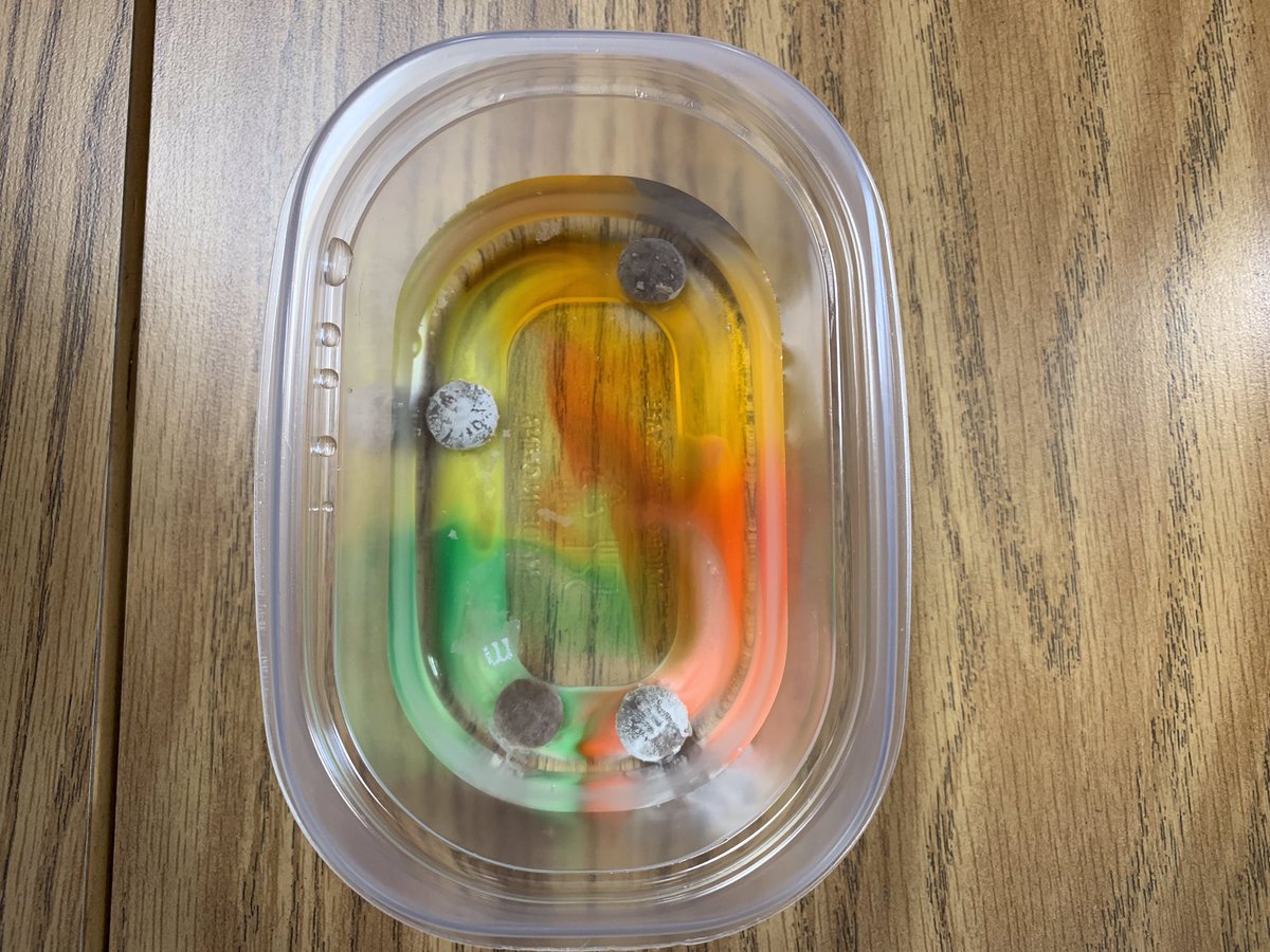 LButtry1's tweet image. 2nd grade scientists put the scientific method into action. We conducted an experiment to answer our question “What will happen when we put @mmschocolate in water?” Our hypothesis, the water would turn colors, was true. But the coolest part-the m floats! #connectses #bulletpride