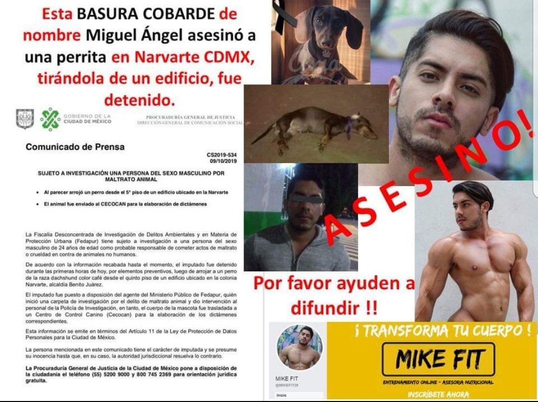 HASF_AnaSDiaz's tweet photo. DIFUNDAN ES REAL!! Mató a la perrita porque le pidieron el cuarto que rentaba en #Narvarte #cdmx, se encuentra detenido en #FEDAPUR.
Estas son las redes del asesino (para que le comenten lo que merece): 

Exijamos justicia!!!
Hagamos presion!!!

Difunde!!! https://t.co/5naGRV483H