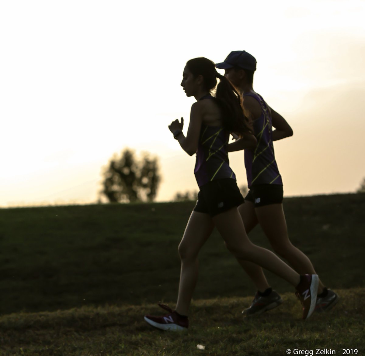 Bruin Nation Photos tweet media