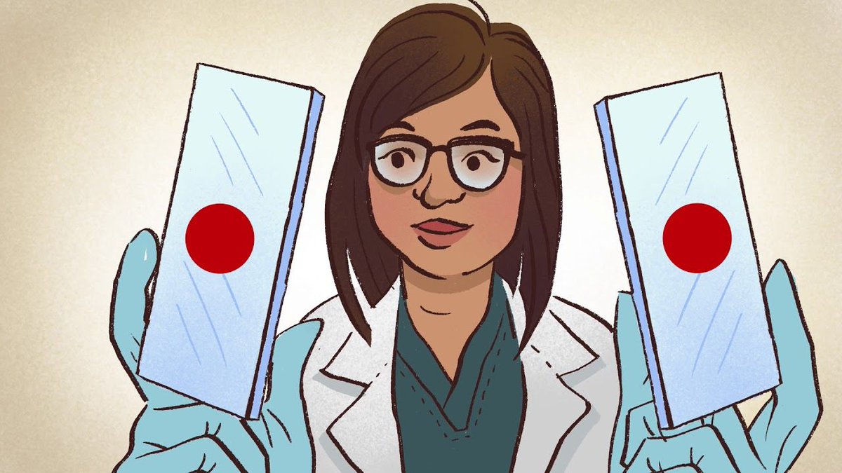 The Microorganisms Inside Us - Learn more about how gut health works in this episode of Spoiled To Perfection! buff.ly/2N7BBJR #webseries #guthealth