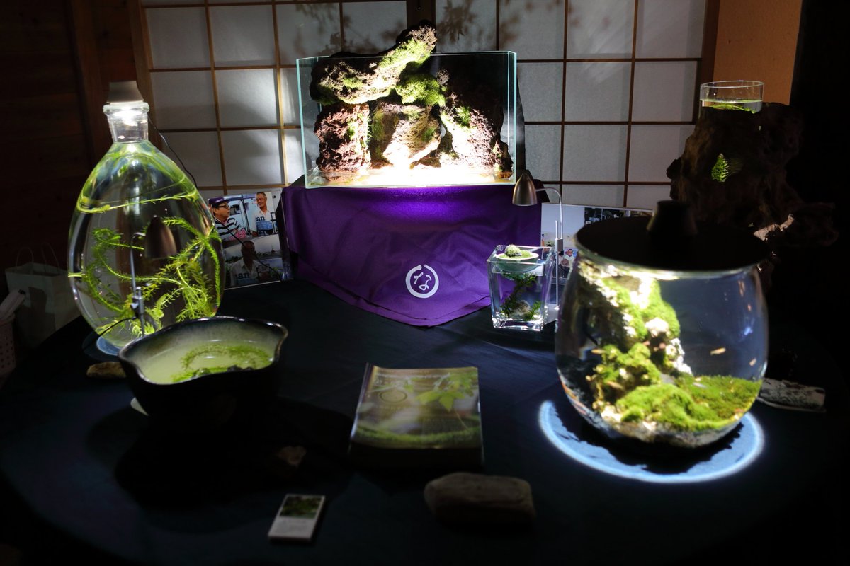 ikiterasu's tweet photo. 【IKITERASU展示作品紹介】
苔なっこ https://t.co/5dQQ4e4y82
自然を切り取った様な世界を〝大自然のおすそわけ”として、貴方のお手元に…

IKITERASU展は明日、10月11日(金)まで！
お見逃しなく！！
開場時間14:30 ～ 21:00

#IKITERASU　#いきてらす https://t.co/Ethpcp3NjQ