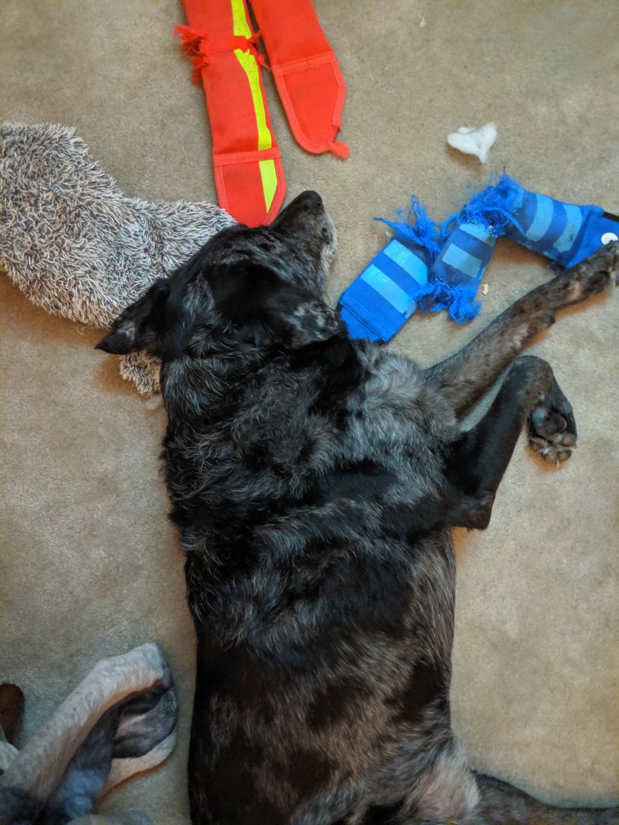 Mandy Roberts tweet media