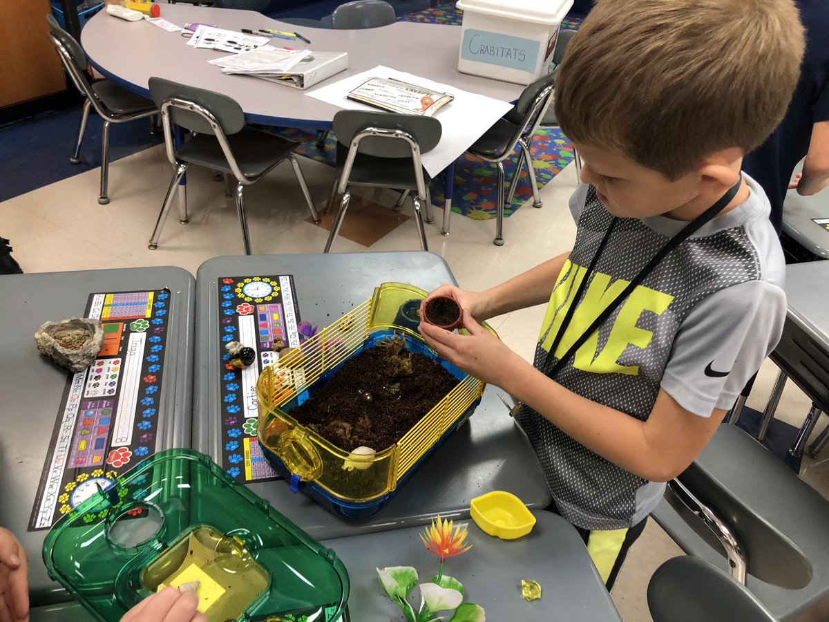 KiserClass's tweet image. Making MODIFICATIONS to our crabitats to try to attract more crabs. The learners discovered that the crabs like good hiding places (shelter). This new discovery was taken into serious consideration. #WeAreMidview #ObservingCHANGE #STEM