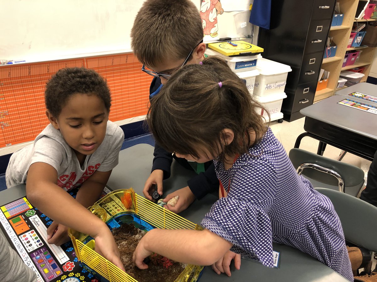 KiserClass's tweet image. Making MODIFICATIONS to our crabitats to try to attract more crabs. The learners discovered that the crabs like good hiding places (shelter). This new discovery was taken into serious consideration. #WeAreMidview #ObservingCHANGE #STEM