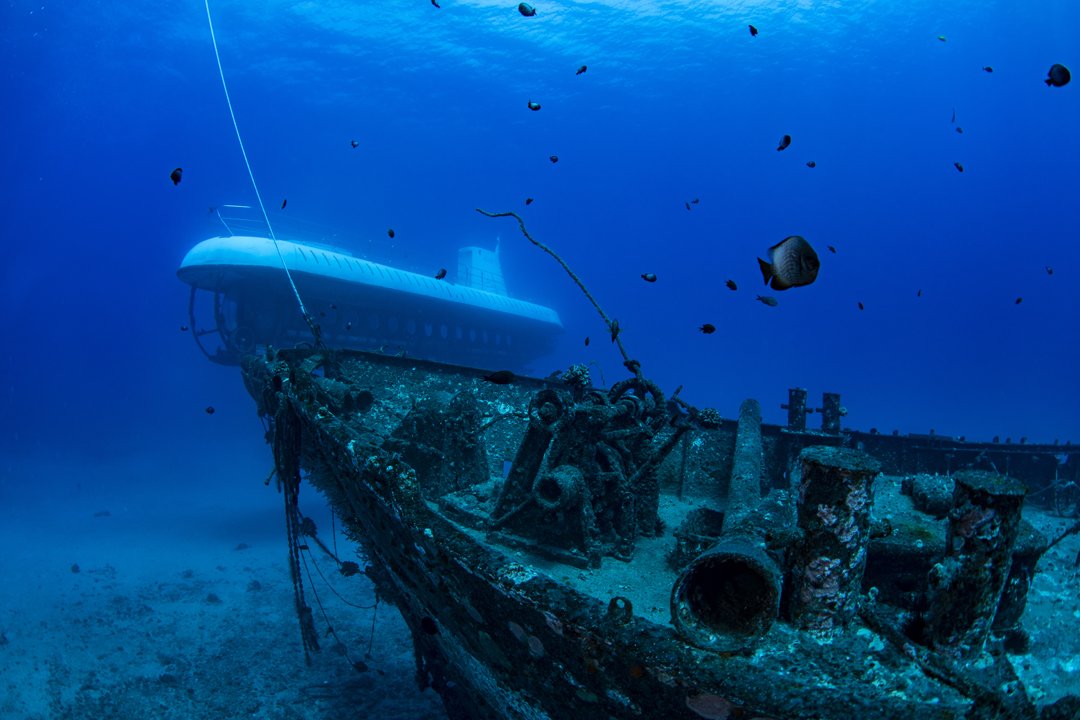 atlantishawaii's tweet photo. The Carthaginian was once a floating museum, and now it’s the exhibit. It’s also the home for a variety of different sea creatures!
•
•
•
#atlantishawaii #hawaii #maui #lahaina #undersea #adventure #dive #submarine #carthaginian https://t.co/EJrd2lDJ4m