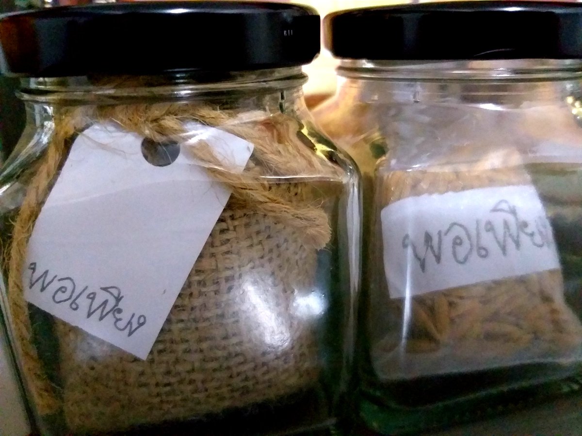 คำว่า พอเพียง มีความหมายว่า พอกิน เศรษฐกิจแบบพอเพียง หมายความว่า ผลิตอะไรมีพอที่จะใช้ไม่ต้องขอยืมคนอื่นอยู่ได้ด้วยตนเอง แปลงจากภาษาฝรั่งได้ว่า ให้ยืนบนขาตัวเอง หมายความว่าสองขาของเรายืนอยู่บนพื้นได้ไม่หกล้ม ไม่ต้องขอยืมของคนอื่นเพื่อที่จะยืนอยู่
#พระบรมราโชวาท #ในหลวงรัชกาลที่๙