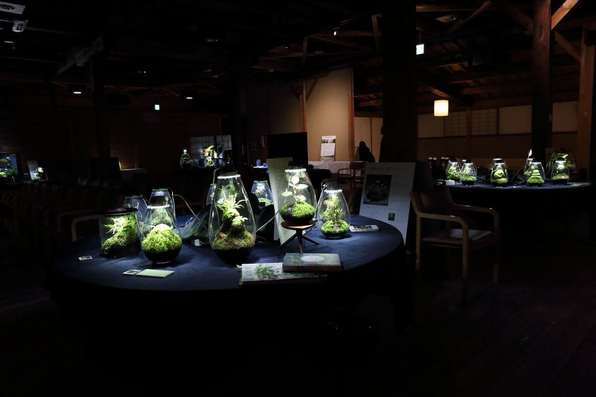 ikiterasu's tweet photo. 【IKITERASU展示作品紹介】
「Mosslight-LED 」照明付コケテラリウム
@mosslight1955

IKITERASU展は明日、10月11日(金)まで！
お見逃しなく！！
開場時間14:30 ～ 21:00

#IKITERASU　#いきてらす https://t.co/ZQcXlY9SR9
