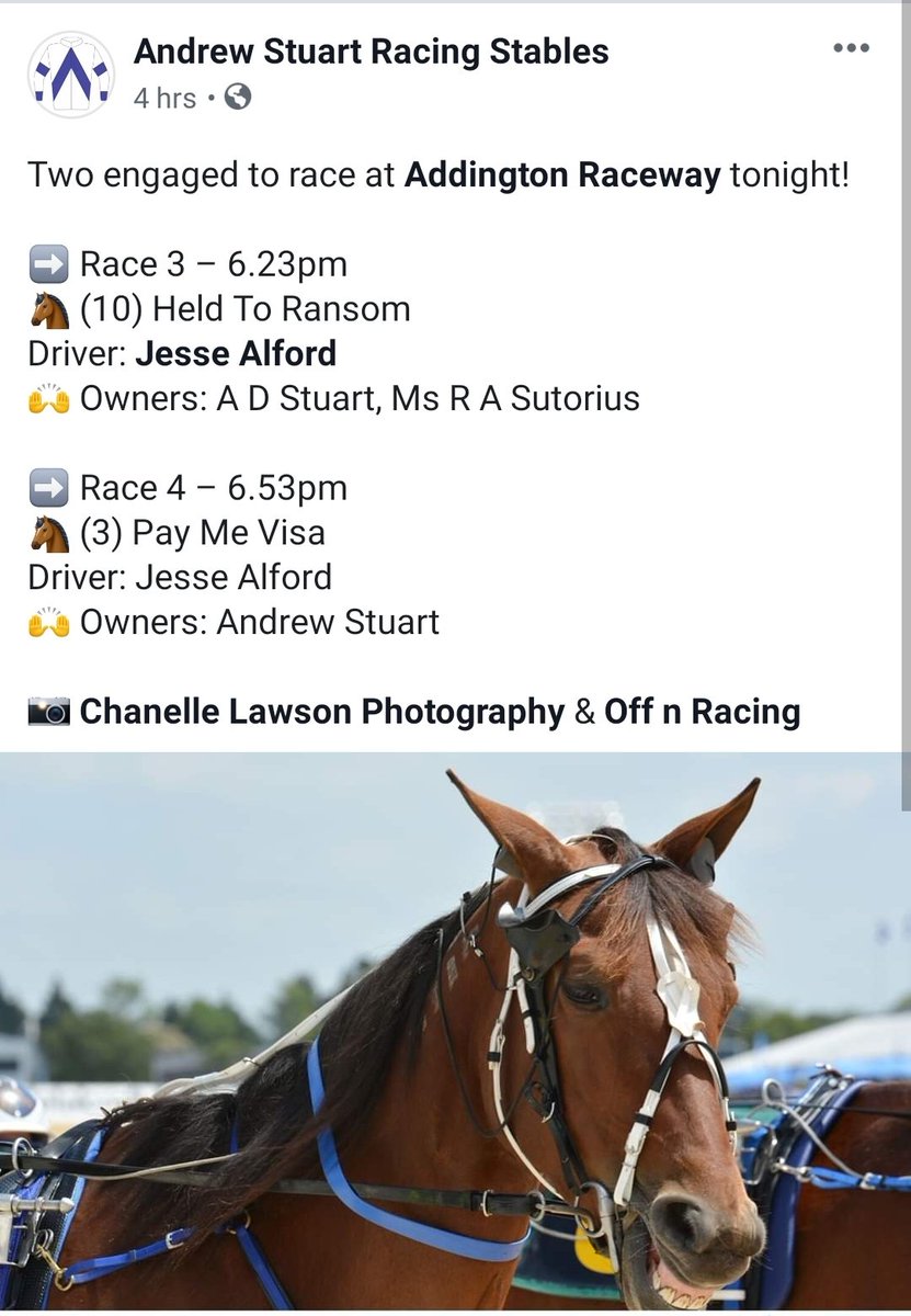 AStuartHarness's tweet photo. . @alford_jesse takes the reins on our two runners tonight at @AddingtonNZ https://t.co/Hqu4l9ft2B