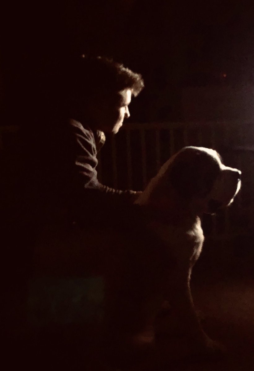 J_SheaWHAT's tweet photo. “Every boy should have two things:  a dog, and a mother willing to let him have one.” https://t.co/rGdEb7rUOK