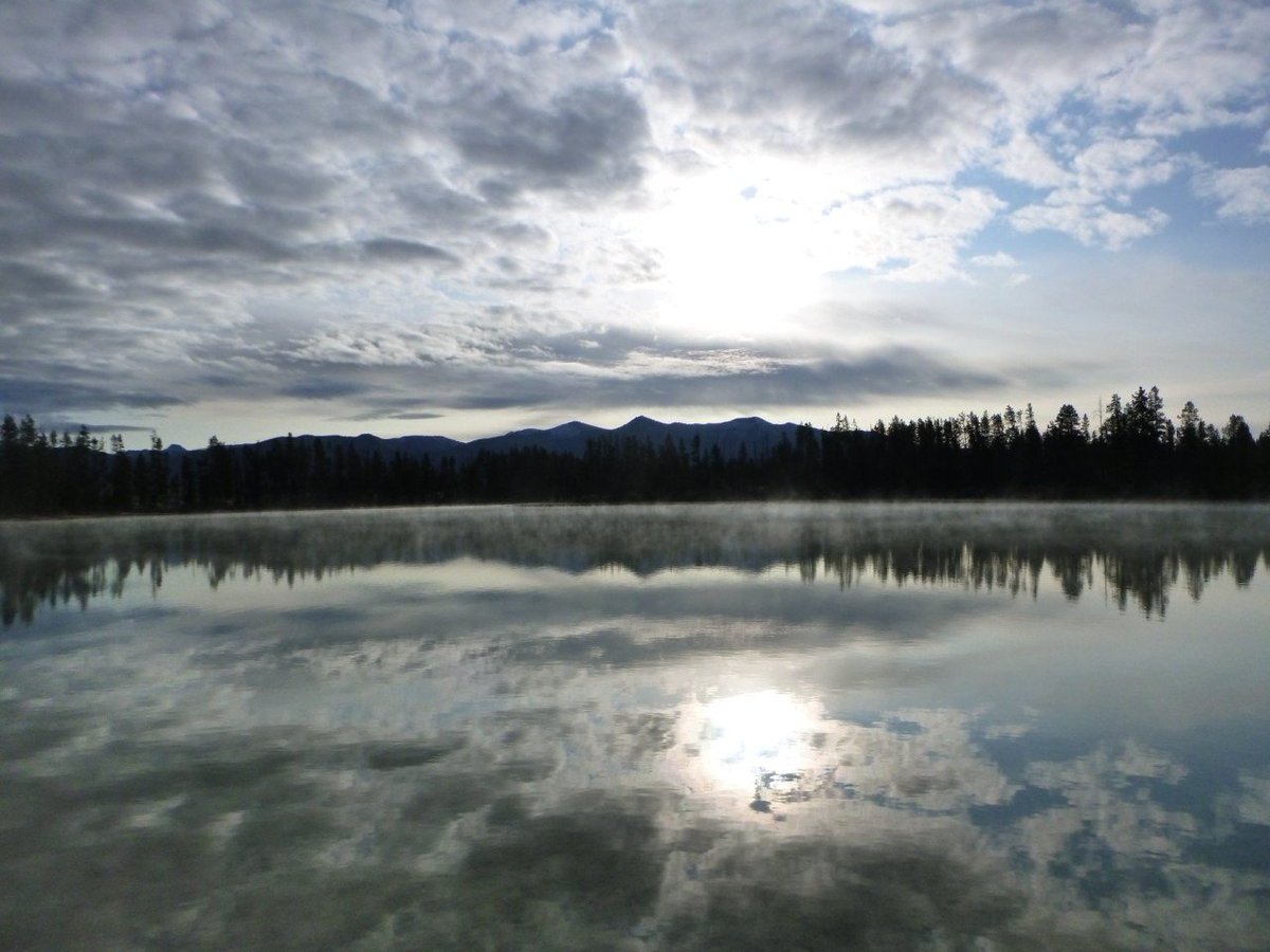 SOARADHD tweet media