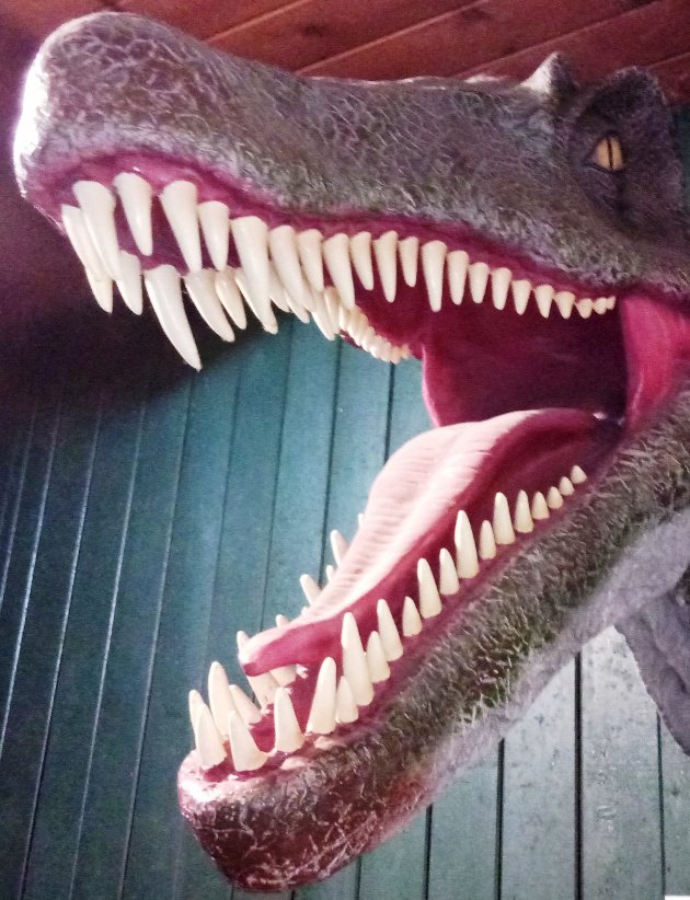 Dinostar Dinosaurs 🦕🦖 tweet media