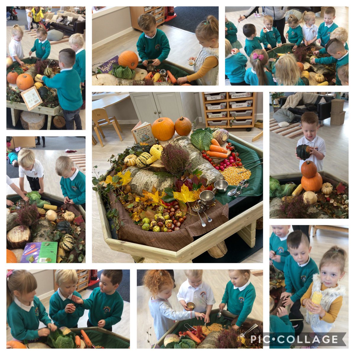 ELC_StP's tweet photo. Has autumn ever been so inviting?The children were showing an interest in the autumn changes, so inspired by @alicesharp66 and the curiosity approach an autumn table was made. Lots of exploring, talking and use of senses was observed from the children! #curiosity #autumnchanges https://t.co/KsDYwfl4Qg