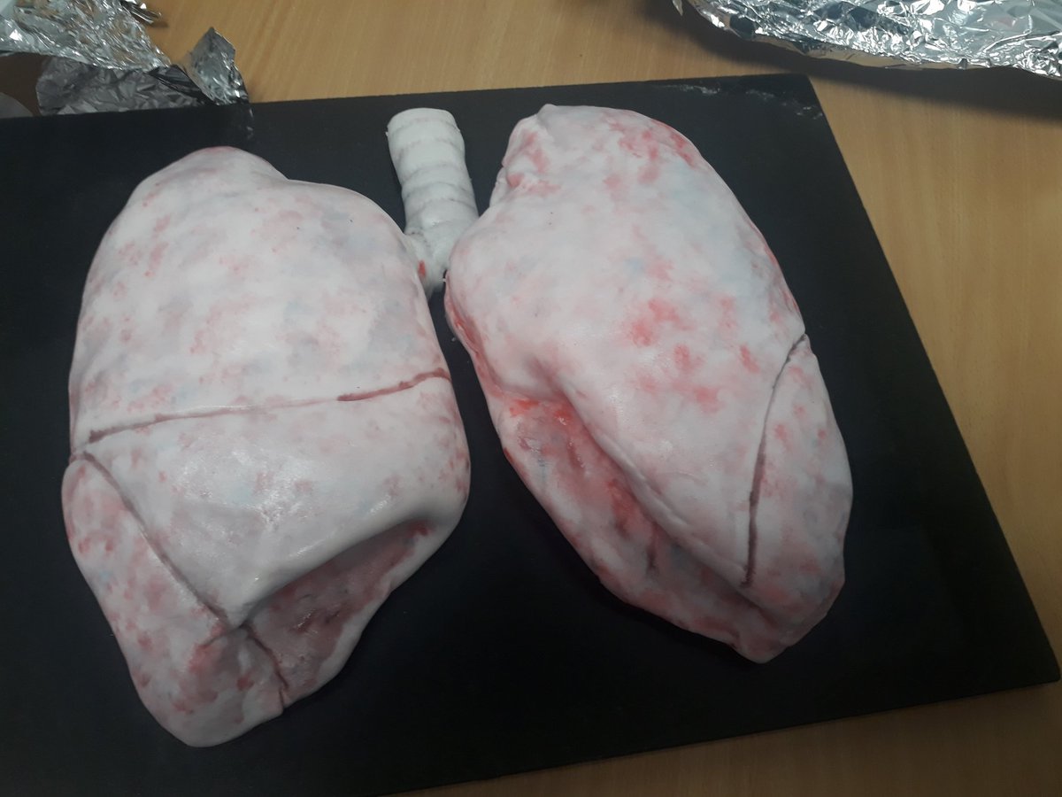 Helen Gregory tweet media