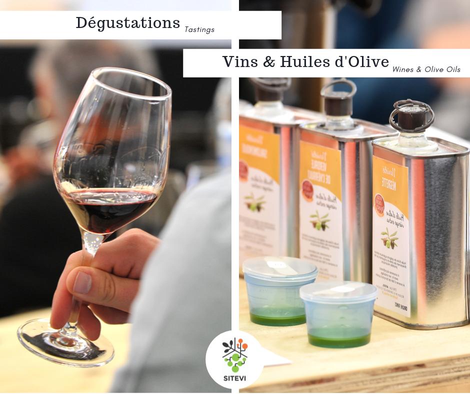 [#Wines & #OliveOils Tastings]
#Tastings are back for next #SITEVI! 🍴
➡️ Online registration only: buff.ly/35nF794