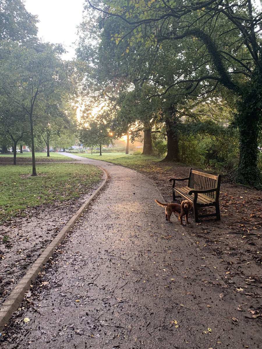 Dexter the dog and I are warming up to join <a href="/AcuityLaw/">Acuity Law</a> ‘s team for <a href="/RJWCCC/">ReachingJusticeWales</a> #legalwalk around #Cardiff later, who else will be there later?
