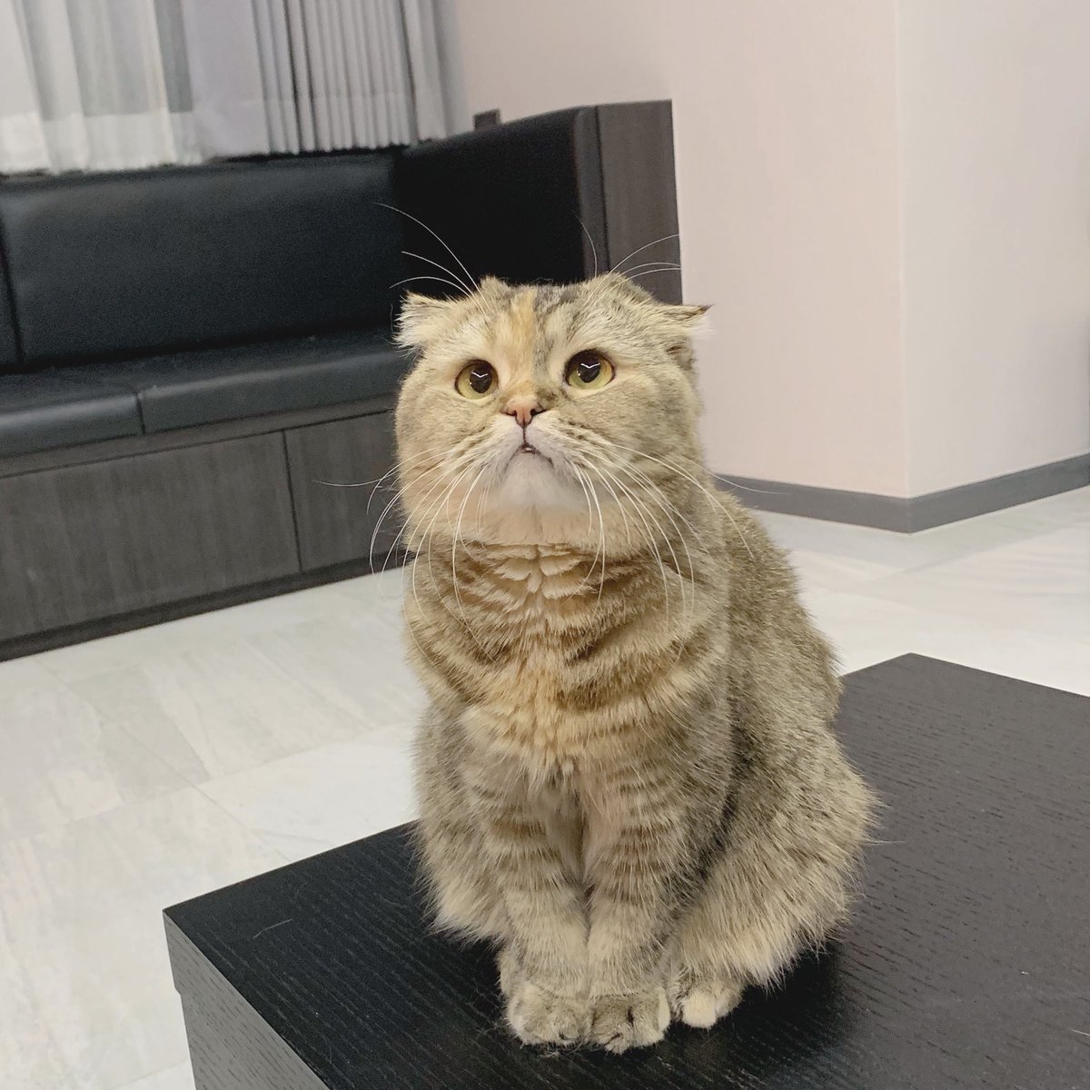 Bonusiie's tweet photo. นั่งอุ๋ง https://t.co/r9Ps5O1umG
