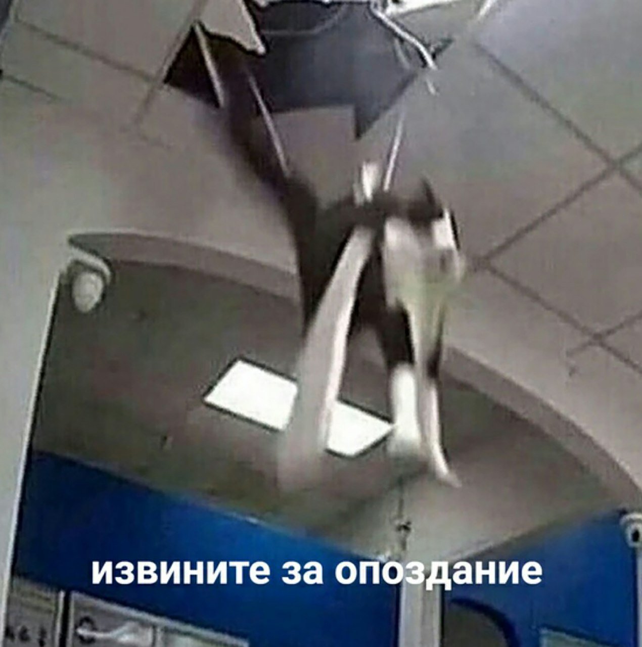 EGf7arvXUAAJw-o?format=jpg&name=large