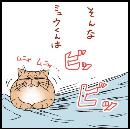 ミュウくんの思わぬ能力発動です笑
#猫 