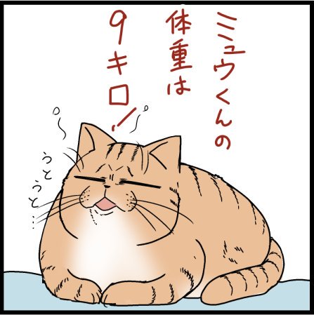 ミュウくんの思わぬ能力発動です笑
#猫 