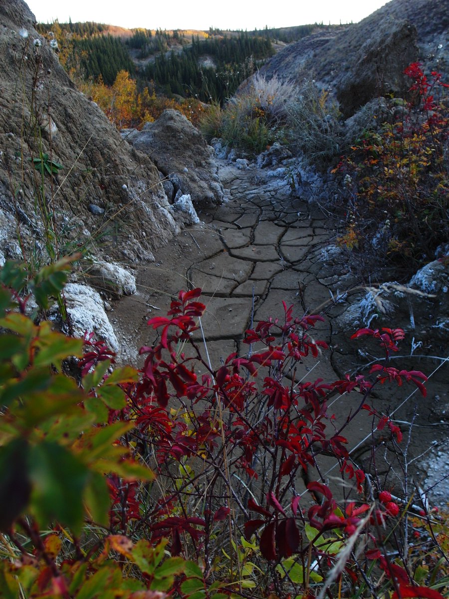 FlatlanderHank's tweet image. Got some pics on #October 6th @KyleTWN, but let me tell ya - The hands-down winner for #mostdifficult #badlands #terrain I've ever encountered is...  #DryIsland #ProvincialPark!! 😂