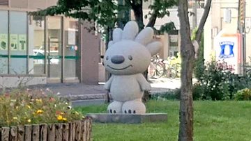 画像 / Picture
