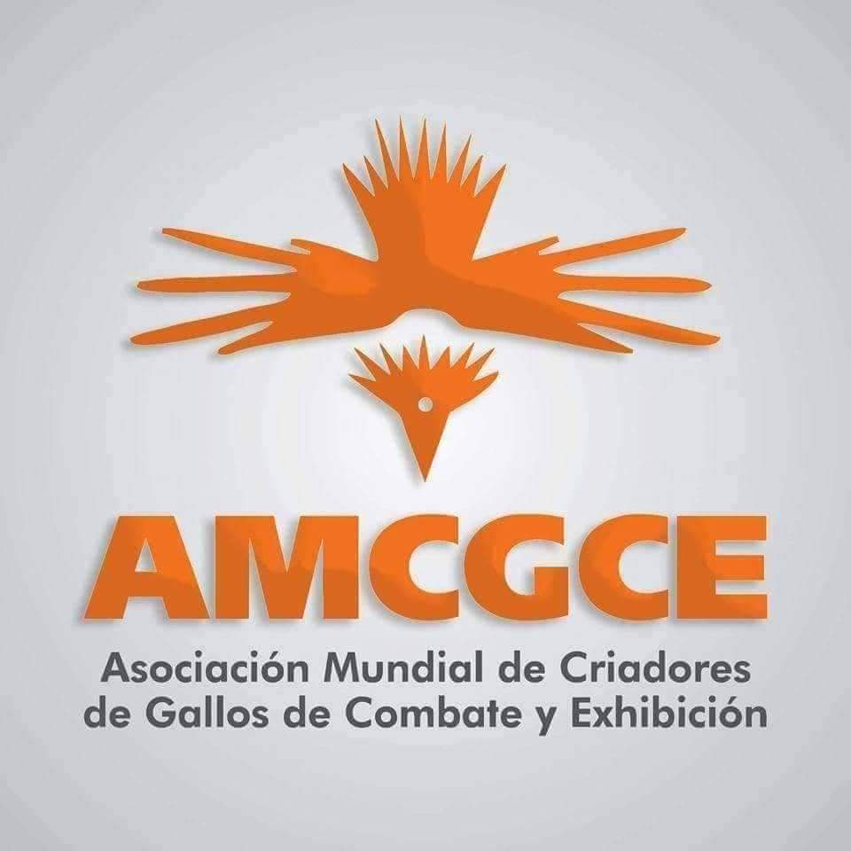 CisnerosMartell's tweet photo. #AMCGCE https://t.co/YNBmF8iOhe