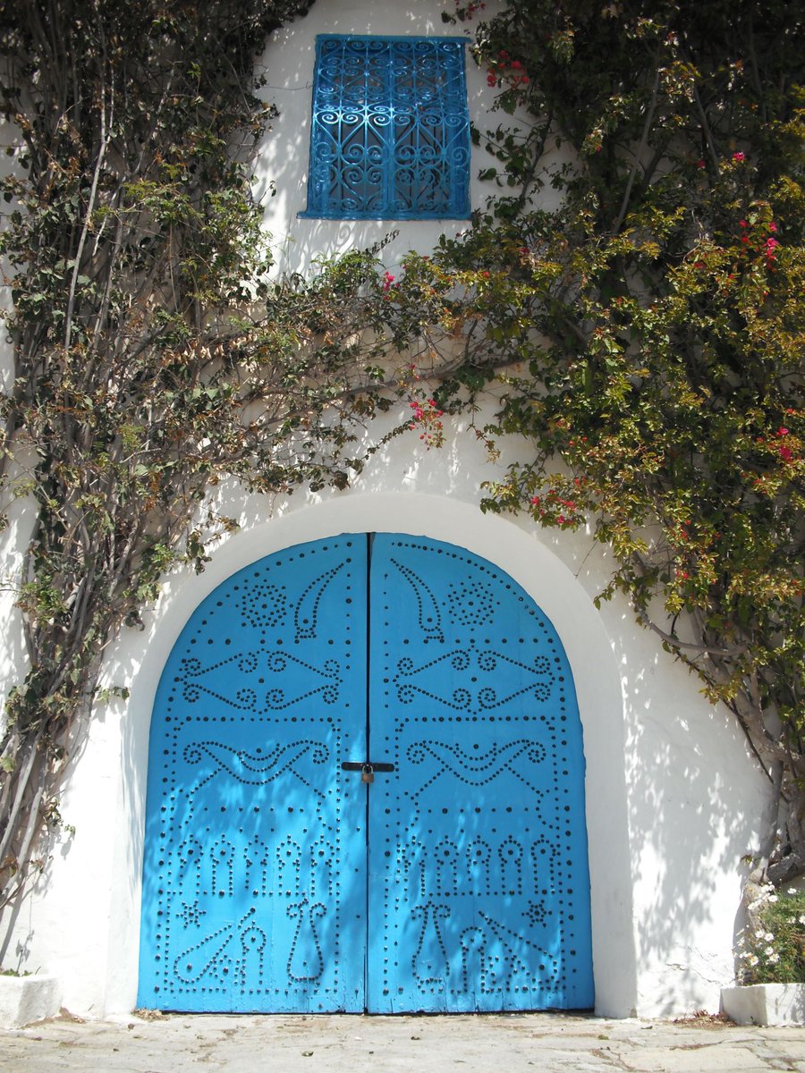 ユーラシア旅行社 公式 世界旅情報 Sur Twitter 白と青の街 チュニジアのシディ ブ サイド 路地裏の家も絵になります チュニジア シディブサイド 扉 中を覗いてみたい