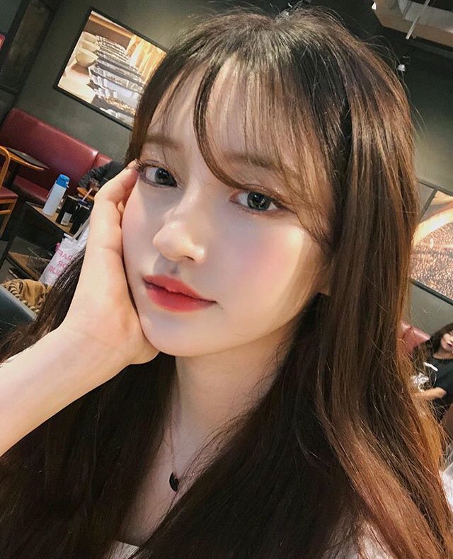 ♆ primrose💫🕊 tweet media