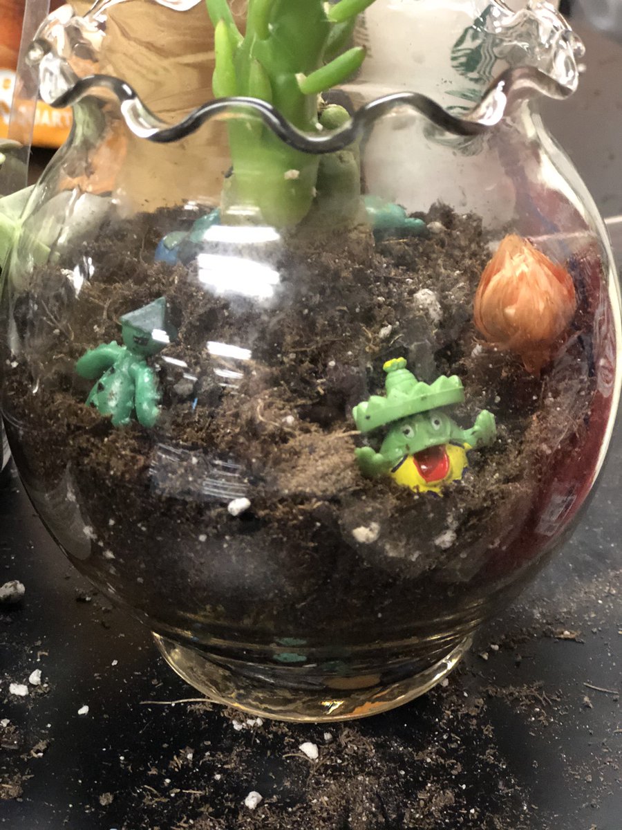 hillhollly's tweet photo. Terrarium Building Day is here! Learning about microhabitats in the coolest of ways. @SudovskyL #KMS_GTScience @Killian_MS https://t.co/o9hd5knmmg