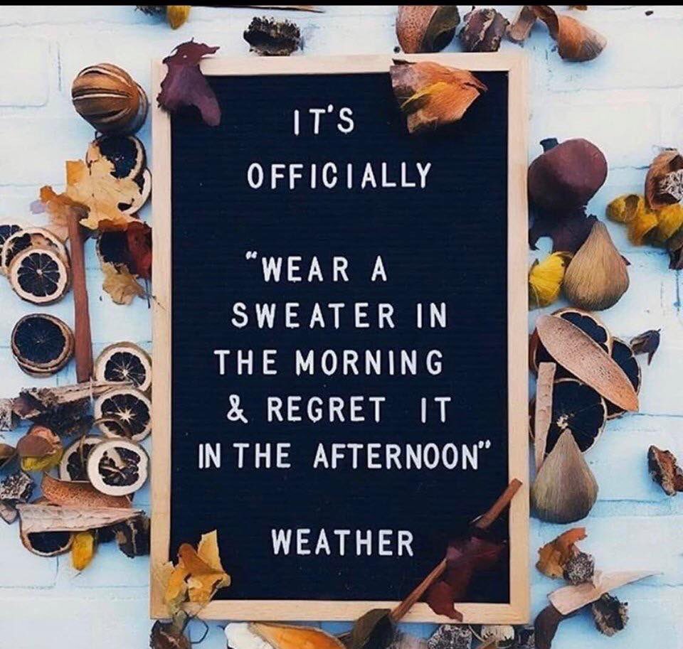AshlinSamuel's tweet photo. It’s fall in Texas #fall https://t.co/GKDmx0RcwJ