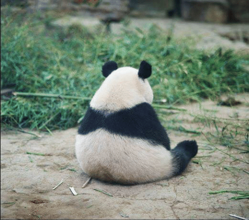 isangahn tweet picture