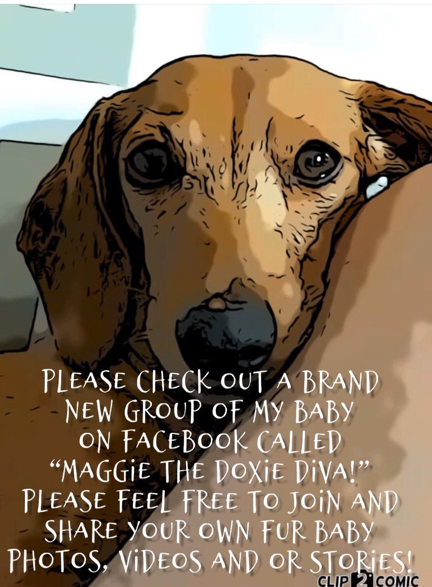 MastersRoth's tweet image. 