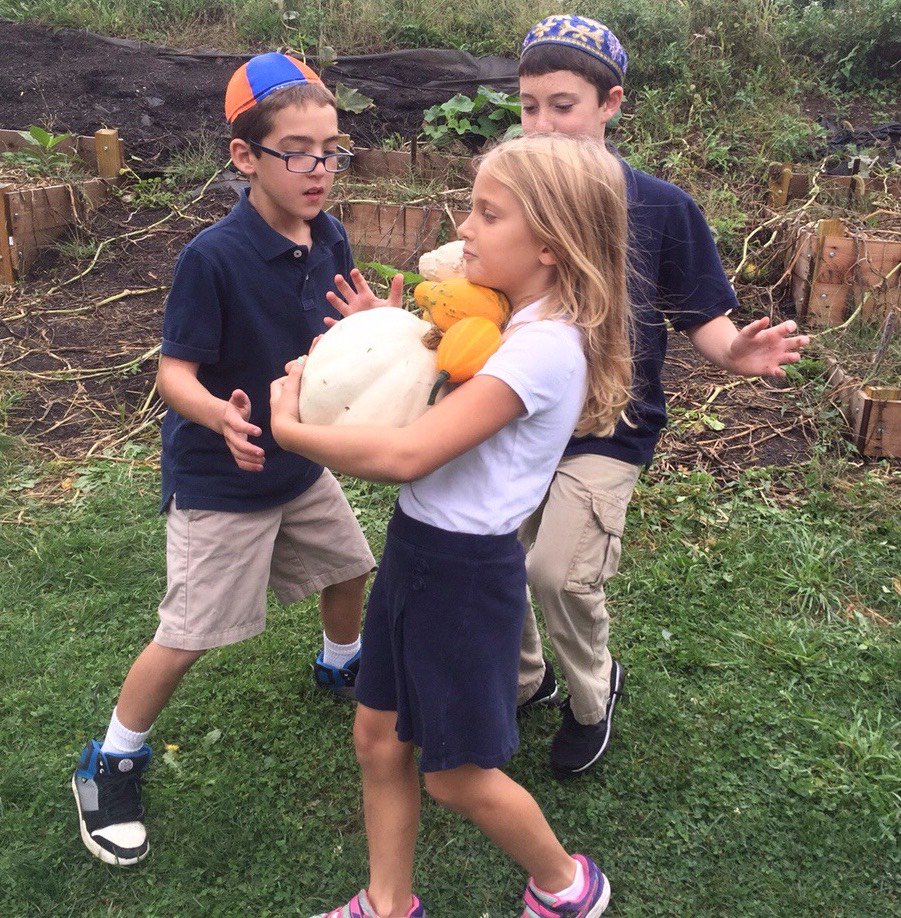 mminkuscds's tweet photo. Throwback Thursday is all about Sukkot! Whether it's the Class of 2015 eating in the Sukkah, SukkotFest at @Hersheypark or the 8th graders getting their hands dirty back in 4th grade, Sukkot at CDS is awesome AND memorable! #tbt #Sukkot #memories #ISROCKS #MSROCKS #CDSpgh https://t.co/sCmu52Ormb