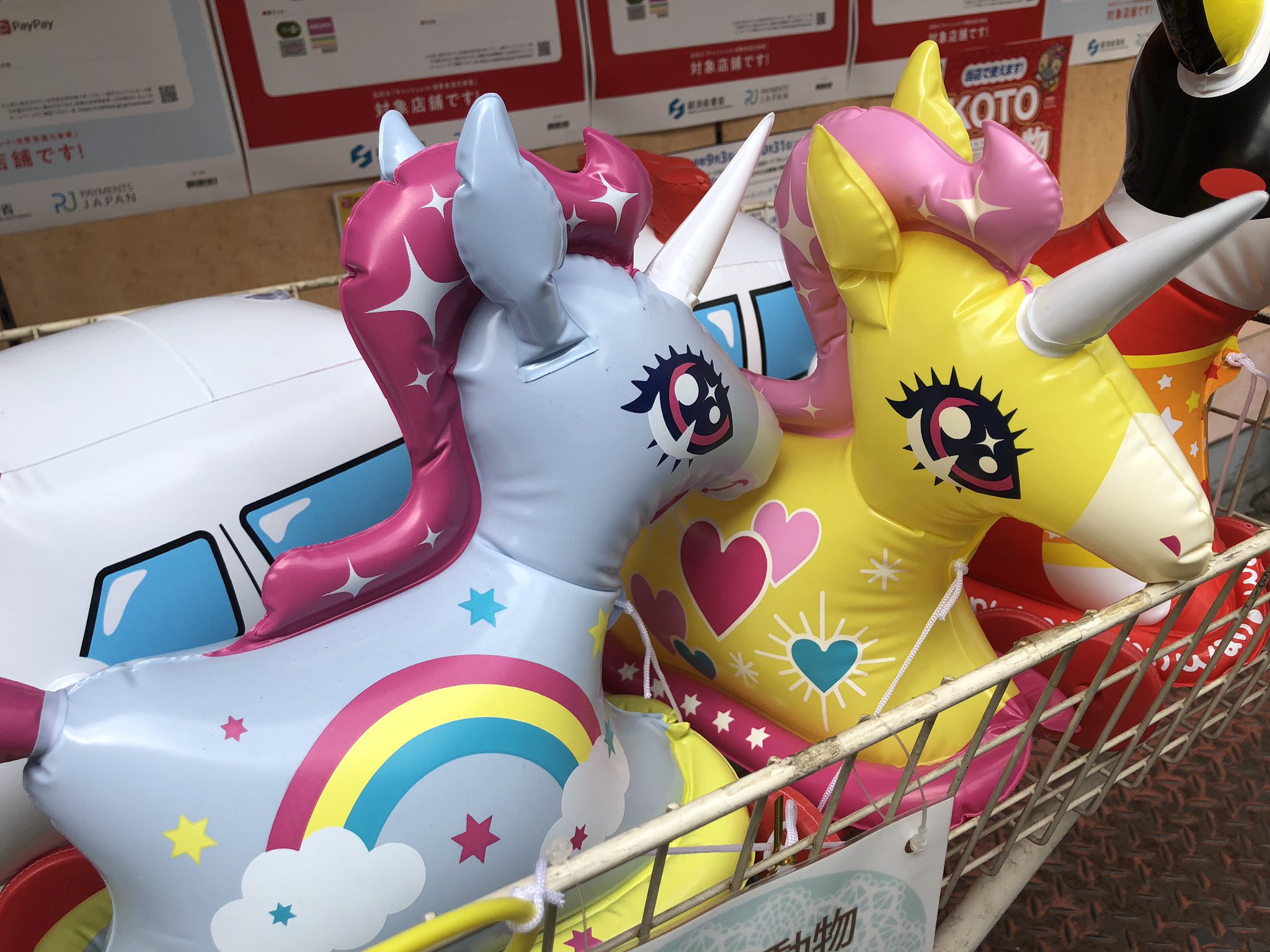 もこう ガラルポニータいた T Co 0iprpktwjl Twitter