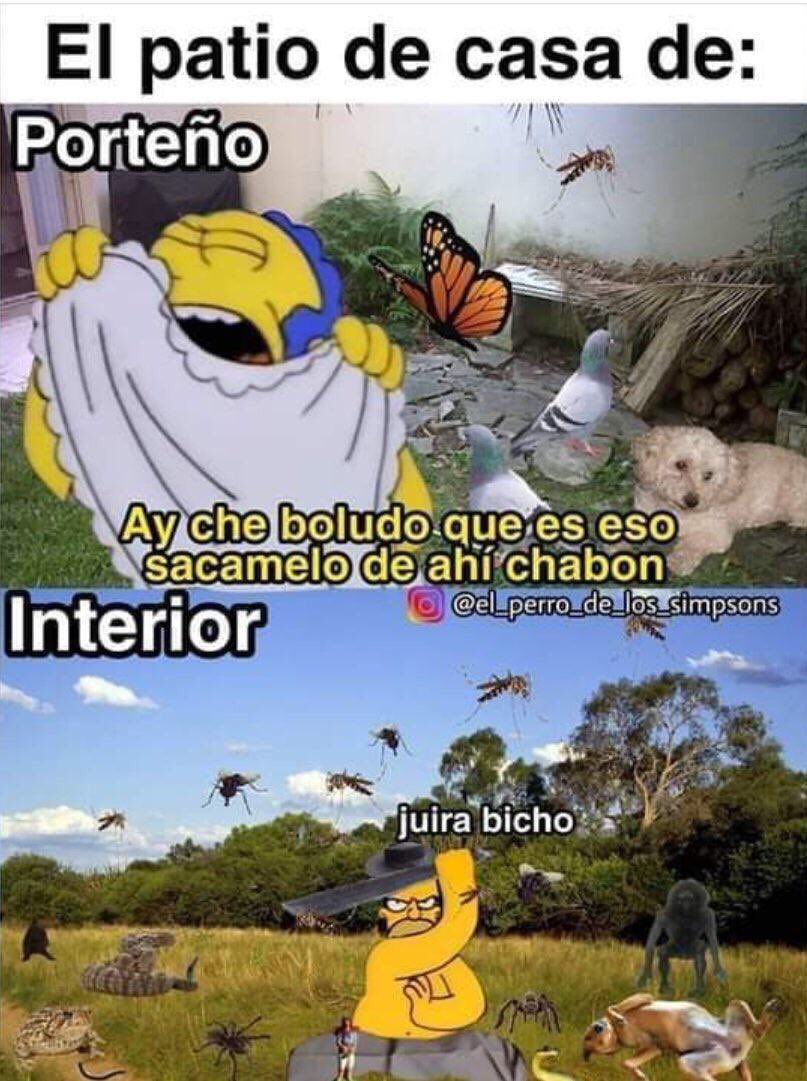 sculs1's tweet photo. vieron q los memes evolucionaron otra vez yo con este no puedo más https://t.co/OZDNaW2ghB