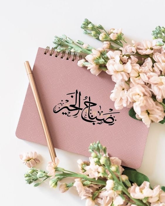 اللهم اجعل هذا الصباح صباح خير لا يضيق لنا فيه صدر ولا يخيب لنا فيه امر واجعل لنا بكل خطوة توفيق وتيسير 🌹