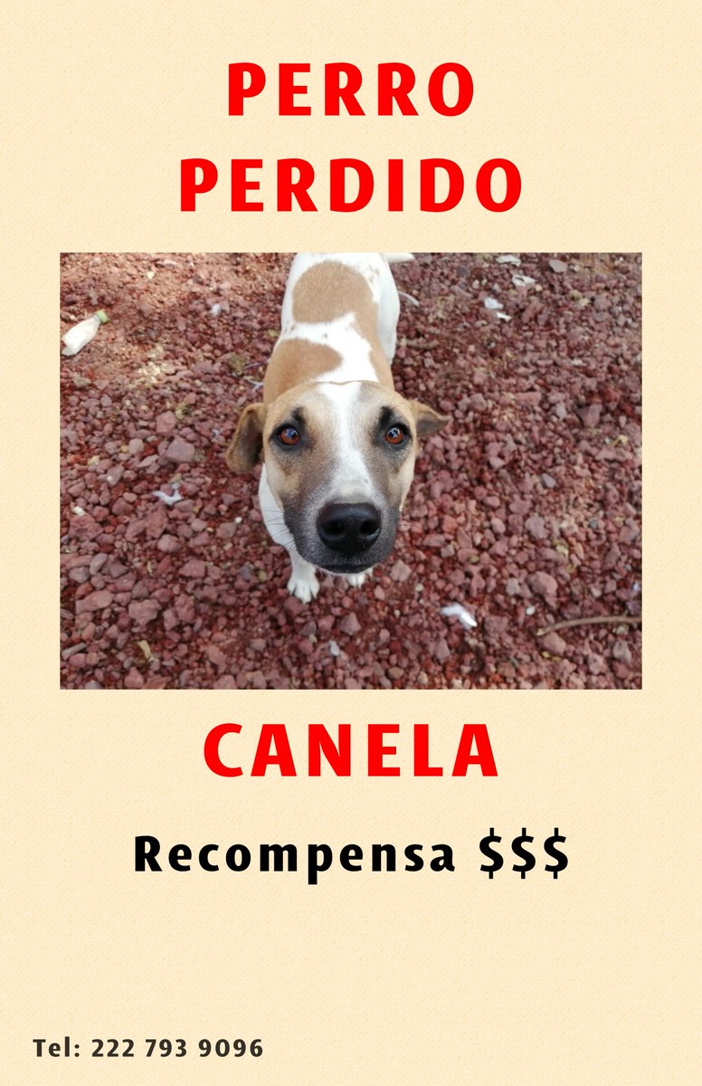 Daniela23841002's tweet photo. Amigos por favor ayúdenme a compartir https://t.co/2Nl6YBUwNd
