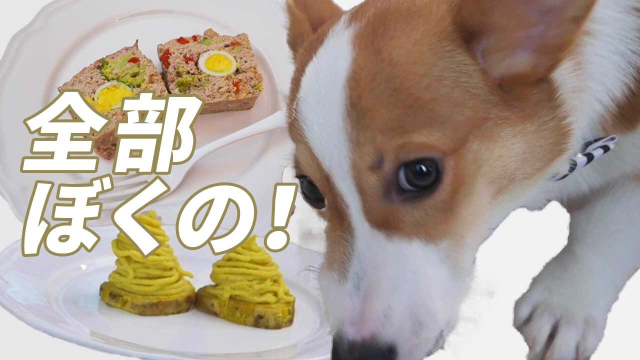 食い意地がすごい Twitter Search Twitter