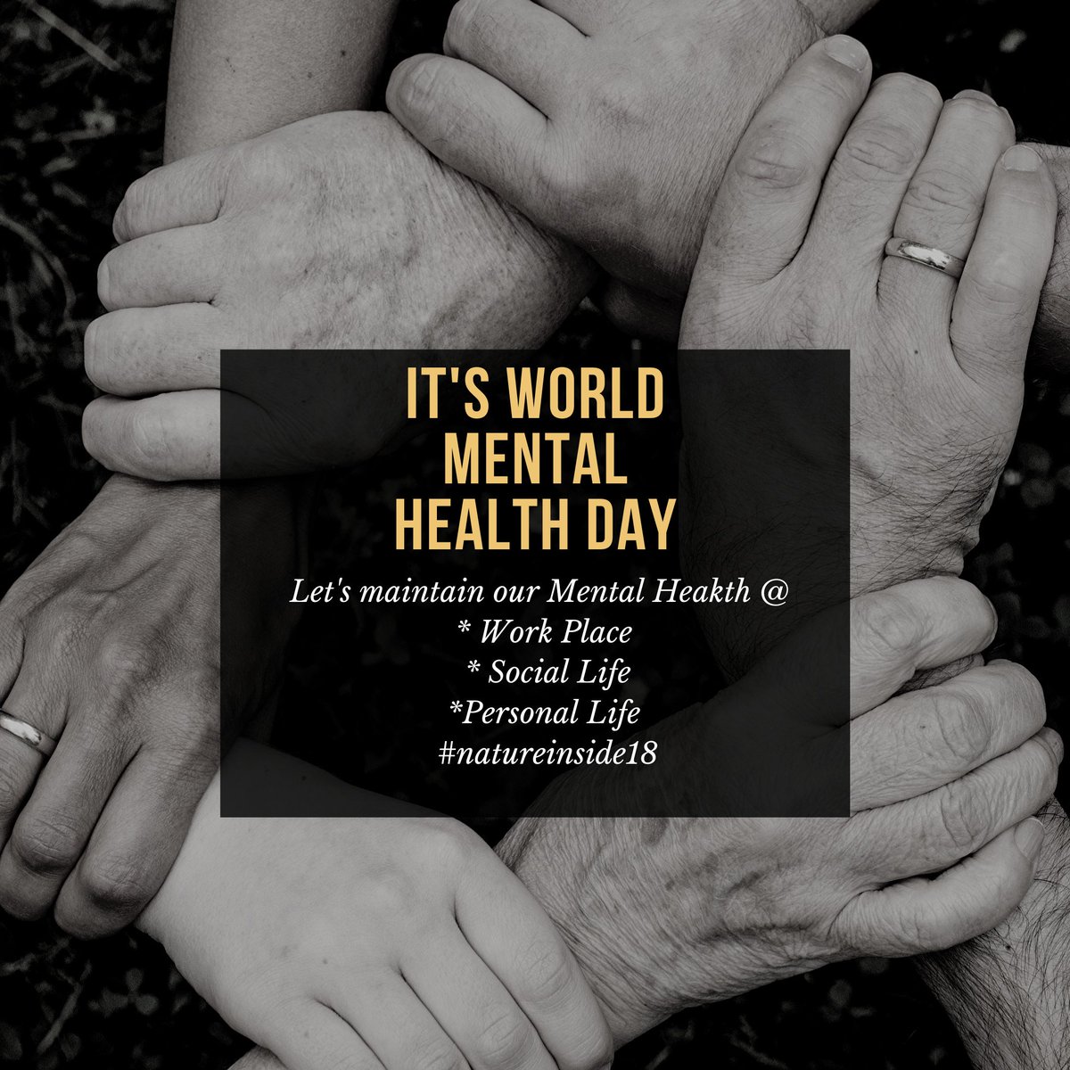 Nature Inside 18 tweet media