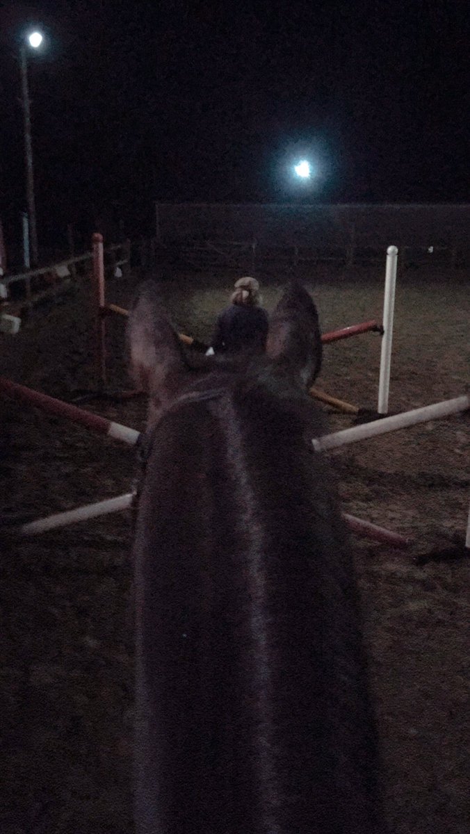 JessSneds's tweet photo. Starting the day off right 🦄#jumpforjoyitsthursday https://t.co/VPcmi0LHti