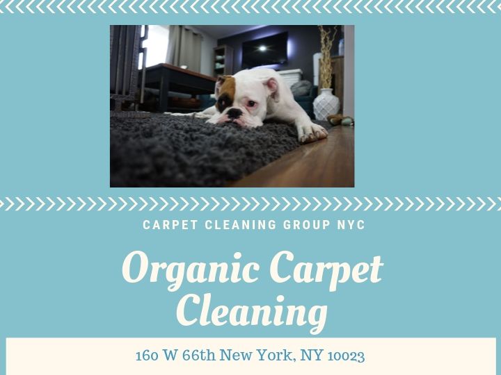 Carpet Cleaning Group NYC on Twitter "Its Carpet Cleaning Group NYC's