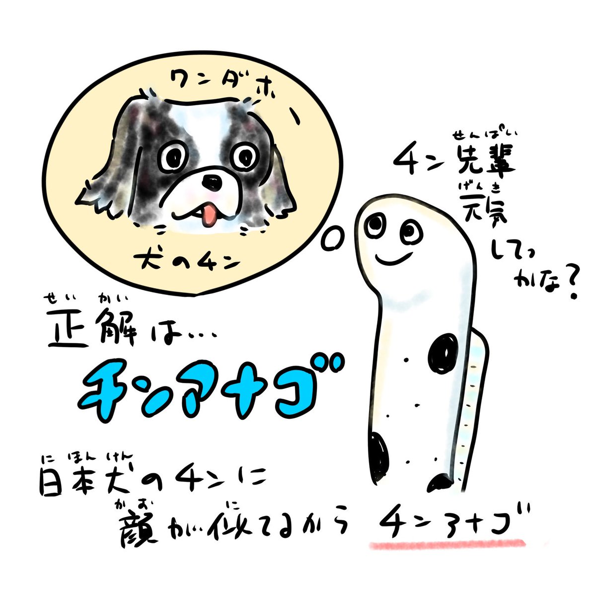 正解発表ーーー!!
#チンアナゴ 江戸時代、徳川綱吉にも可愛がられていた愛玩犬「チン」に顔が似てるからチンアナゴと呼ばれたよ!
#おさかなぁに 次のクイズもお楽しみに? https://t.co/aVlI5gAytd 