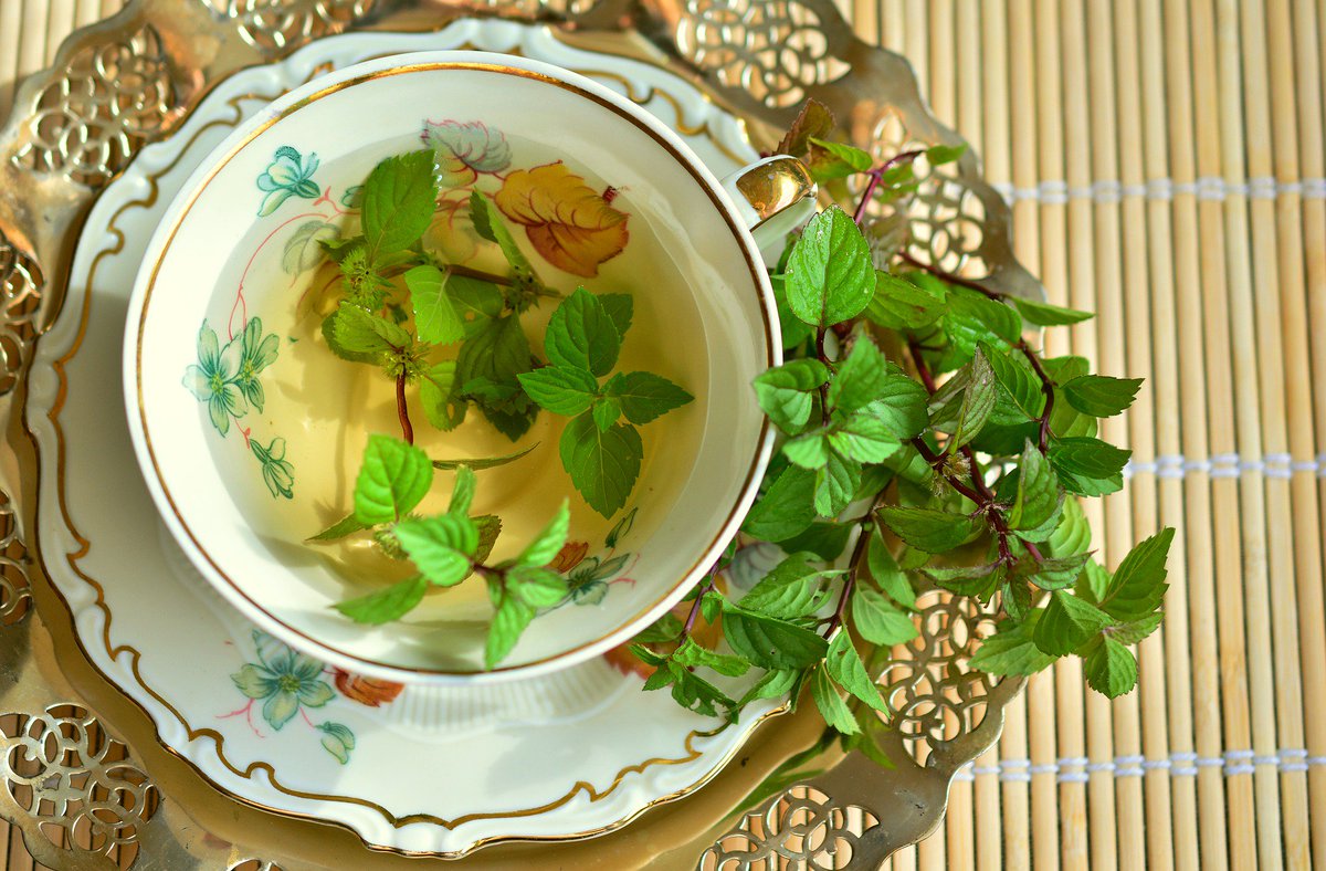 herbalvale's tweet photo. You Can not buy Happiness but you can buy tea. 
#tea #tealovers #teatime #tealover #chai #teaaddict #tealove #tealife #instatea #greentea #follow #follower #like #followers #f #likes #followback #followme #following #followforfollowback #followforfollow #f4f #f4follow https://t.co/neWypkhpkG