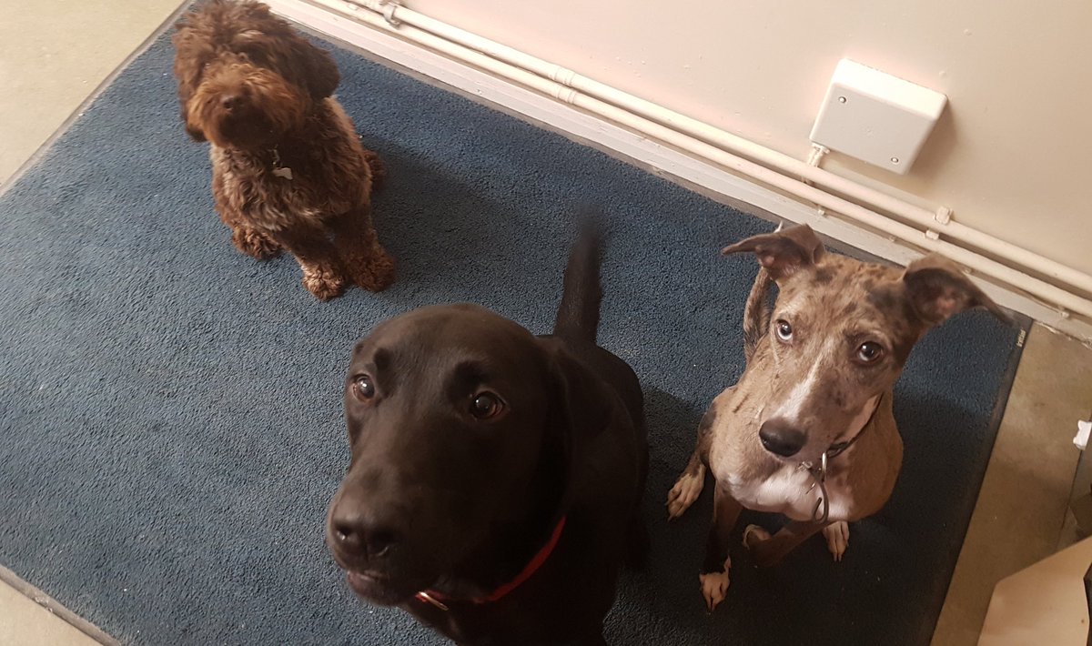 Chiltern GRC tweet media