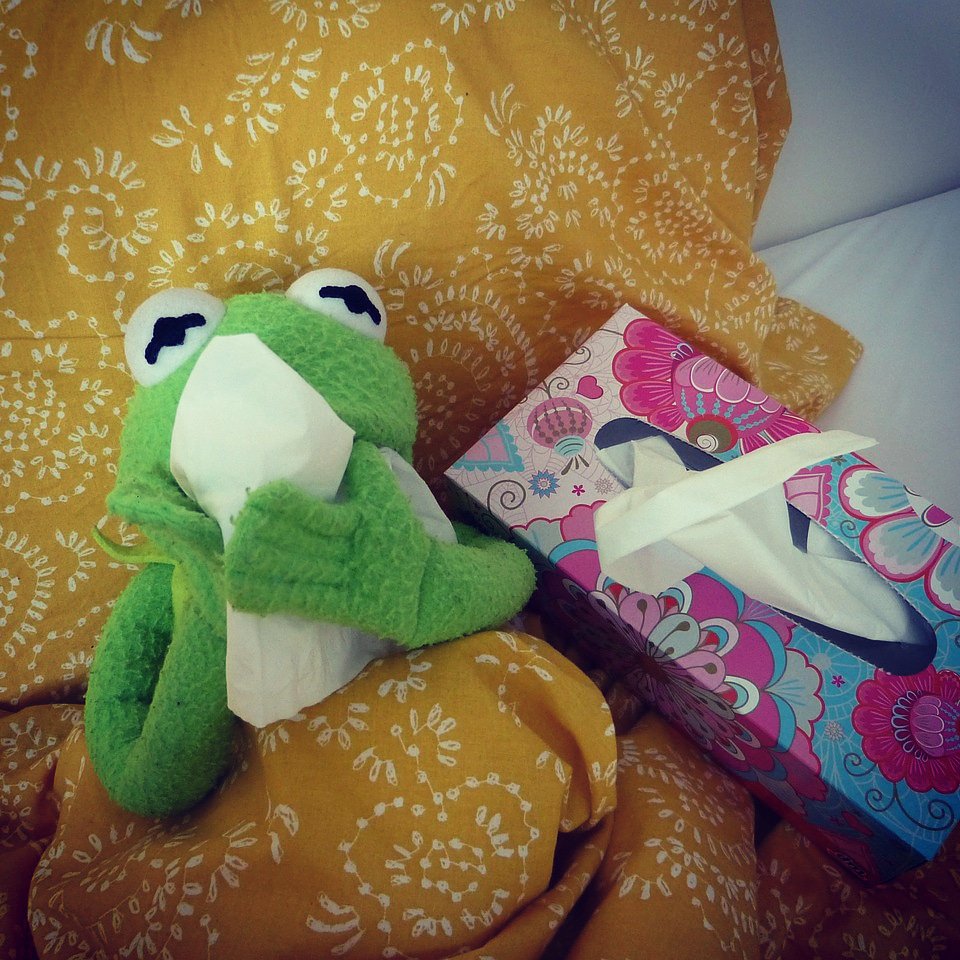 Auch das Flattervieh hauts mal aus dem Leben. Leider entfalle ich damit wohl erstmal für die nächsten Tage. Sollte bis zum Wochenende das Streamen möglich sein, dann kündige ich das natürlich an. Aber erstmal... sterbe ich mal ne Runde 🥵😷🤒