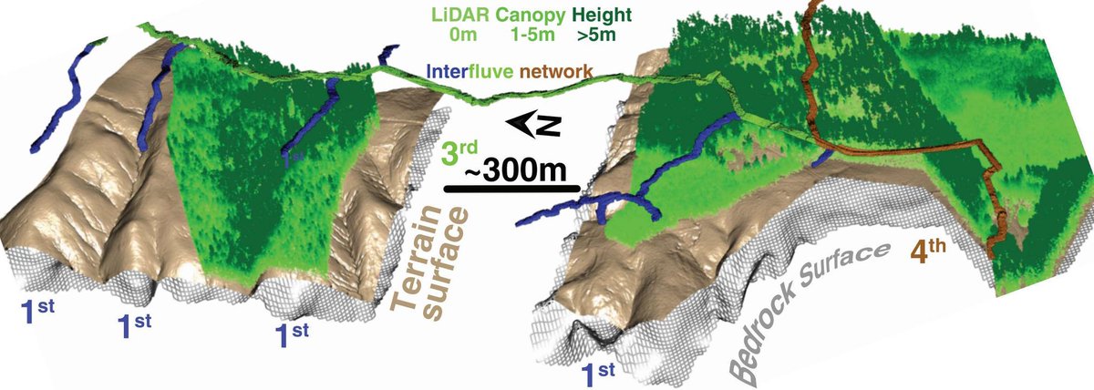 ZBrecheisen's tweet photo. Picking up the landscape geomorphology paper on "ordered interfluves" again after a year hiatus! I've imagined this figure for over 5 years and finally have enough #GIS and #rstats skills to pull it off. The lidR LiDAR package is awesome! @suelos2010 #lidar #CCZO @criticalzoneorg https://t.co/punukmc1aW