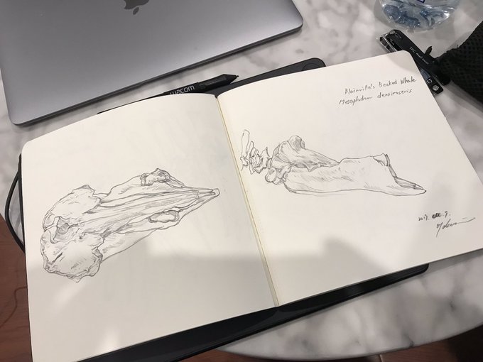 告知 拙作 悪の糸 瑞絵 コミックシーモア新青年誌 ズズズキュン にて連 瑞絵 Mizue の漫画