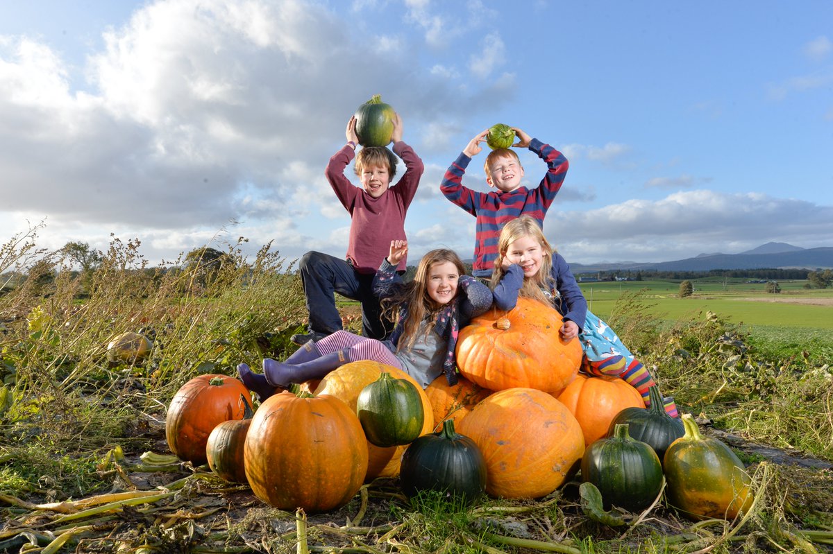 Wild cocktails, foraged pizzas, pumpkin treats and chili feasts will be on the menu at this year’s #ForthValleyFoodFest running across the region 11-20 October. 🍸🍕🎃🌶️ Tuck in and find out more here: bit.ly/2lDatq6 📸: Julie Howden