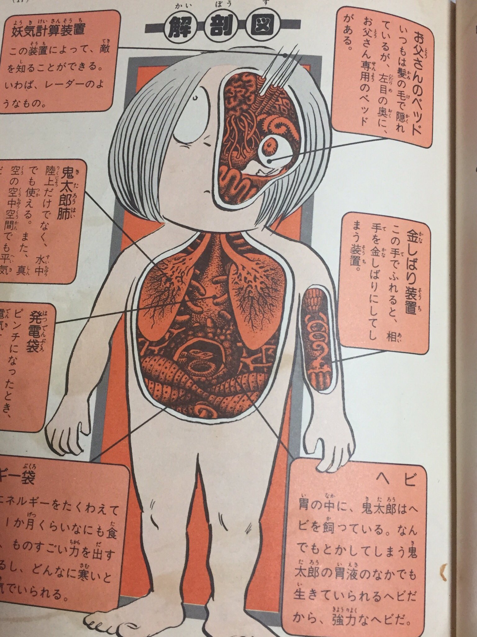 妖怪の図 模写 8月予約】童友社 日本妖怪系図シリーズ[復刻版] からかさ