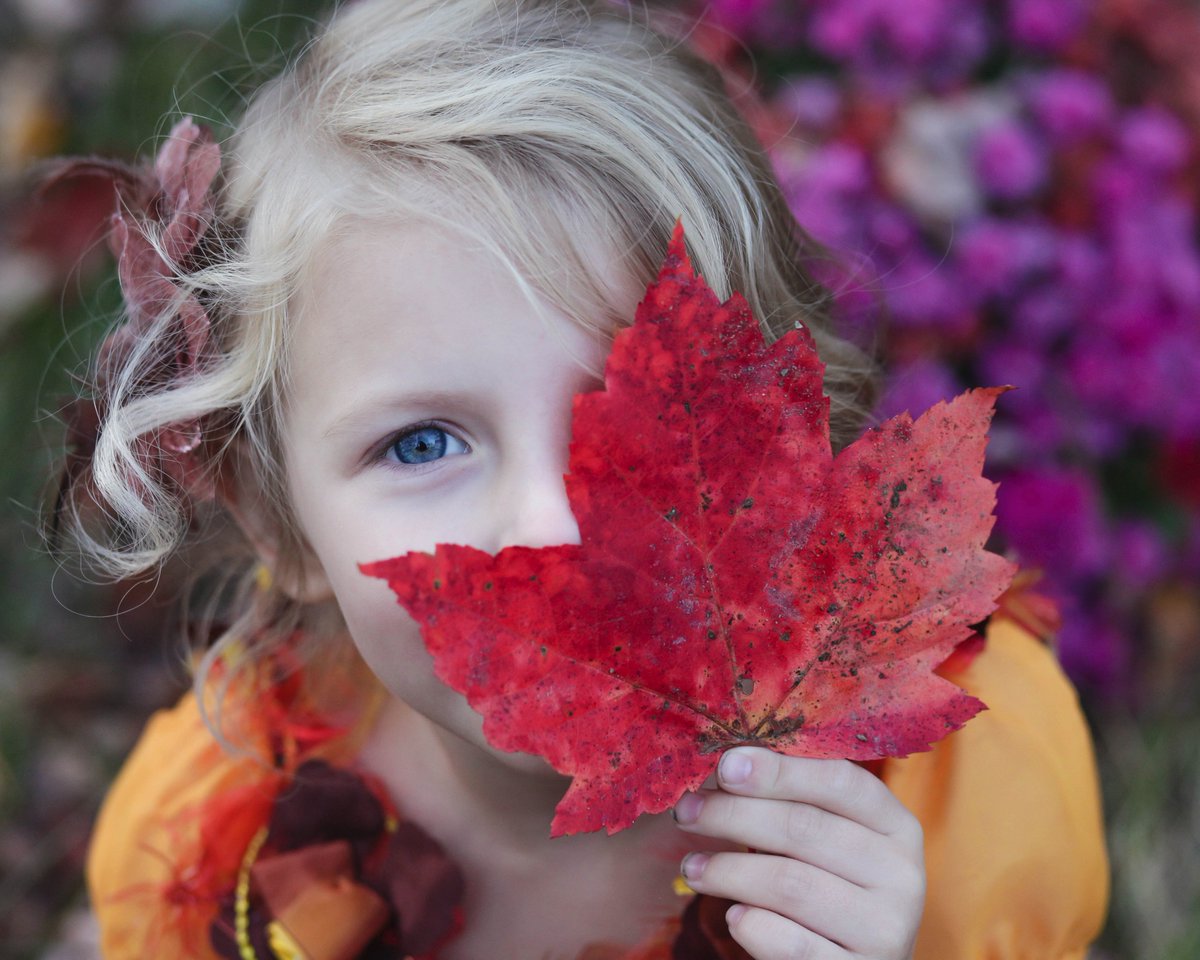shmparkstad's tweet photo. De herfstvakantie staat weer voor de deur. Tijd voor een leuke binnenactiviteit, of geniet nog van de laatste zonnestraaltjes! We geven je een paar tips om een goedkope, maar superleuke herfstvakantie te beleven! https://t.co/UCQlMtsQ7w  #herfstvakantie #bespaartips #parkstad https://t.co/SjUIFjsGPX
